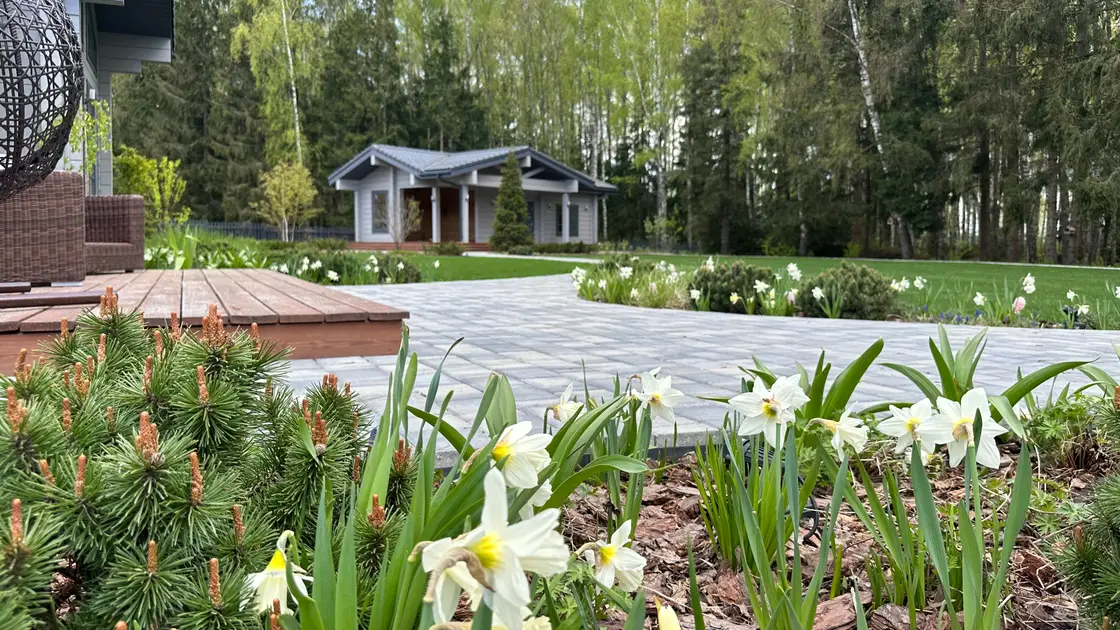 Ландшафтный дизайн проекта Лагуна парк