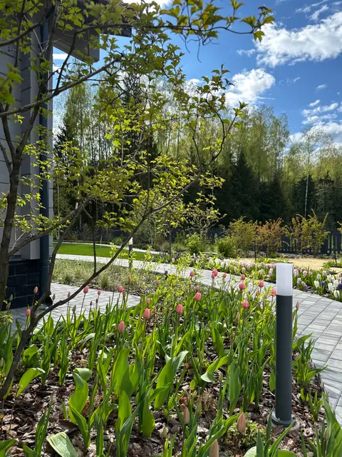 Лагуна парк