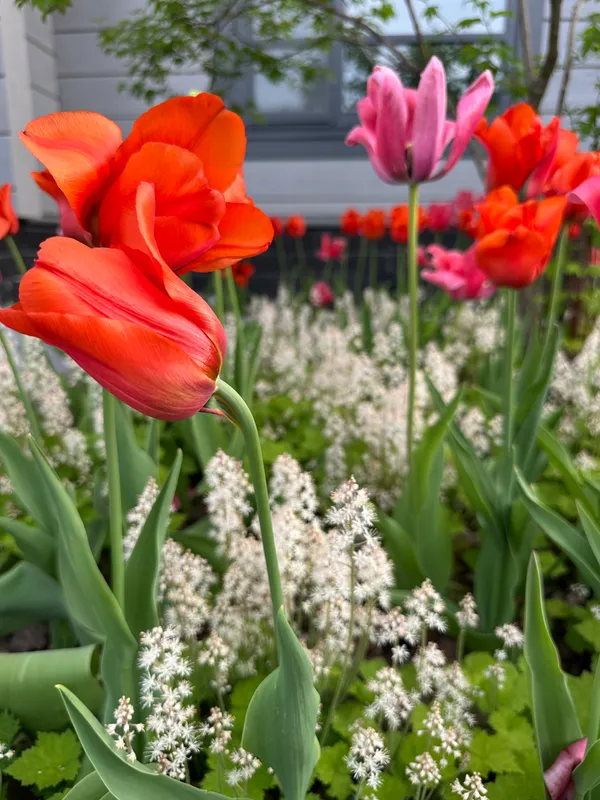 Лагуна парк