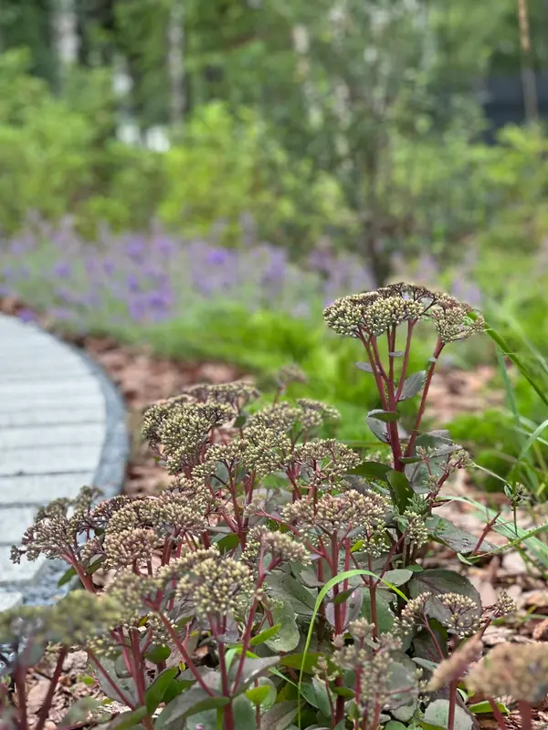 Лагуна парк