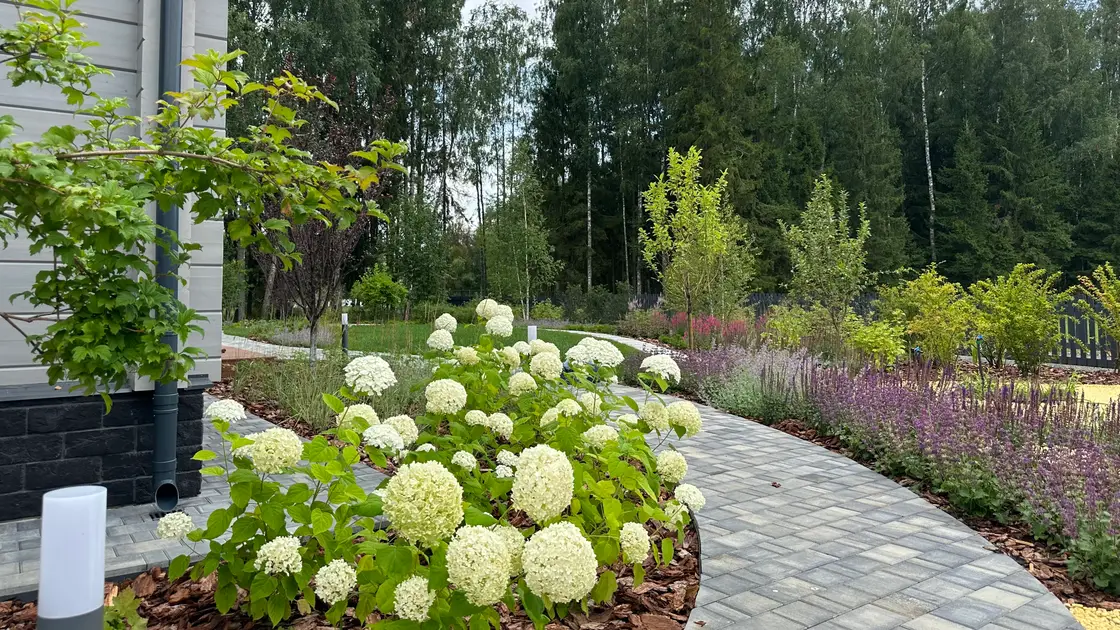 Ландшафтный дизайн проекта Лагуна парк