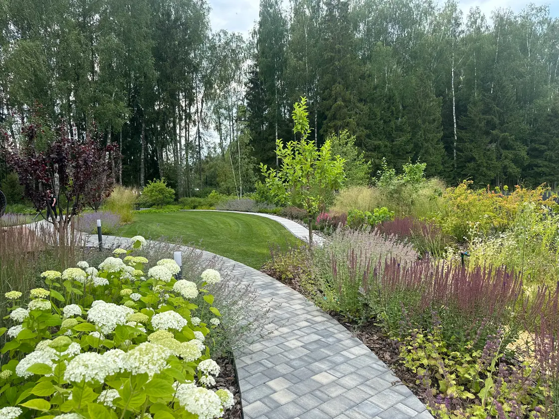 Ландшафтный дизайн проекта Лагуна парк