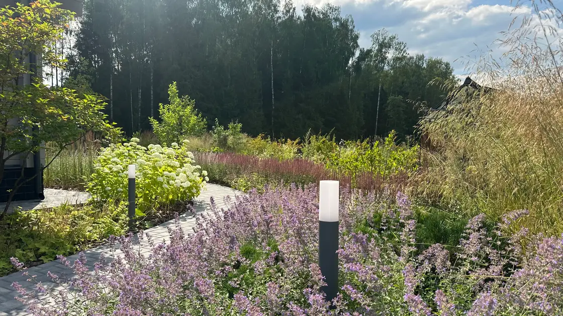 Ландшафтный дизайн проекта Лагуна парк