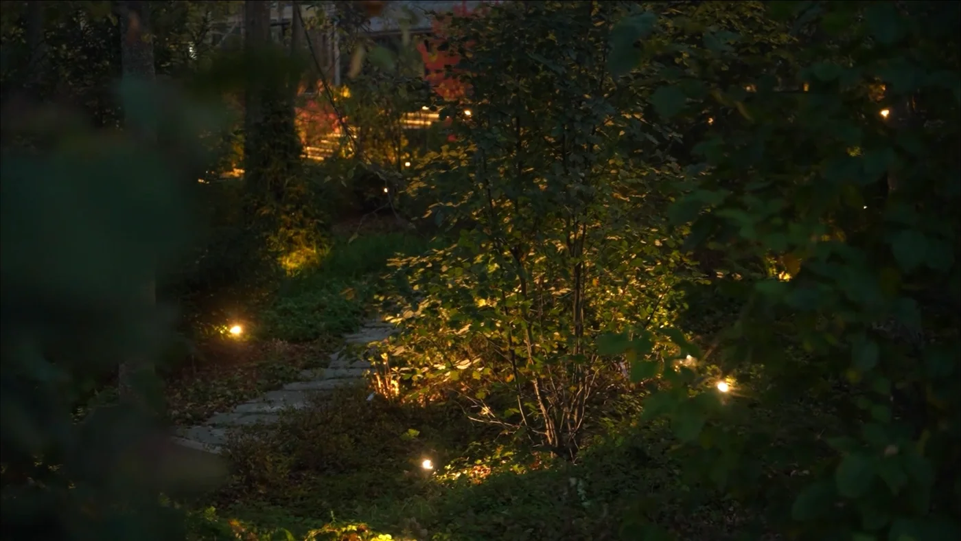 Новолеоново