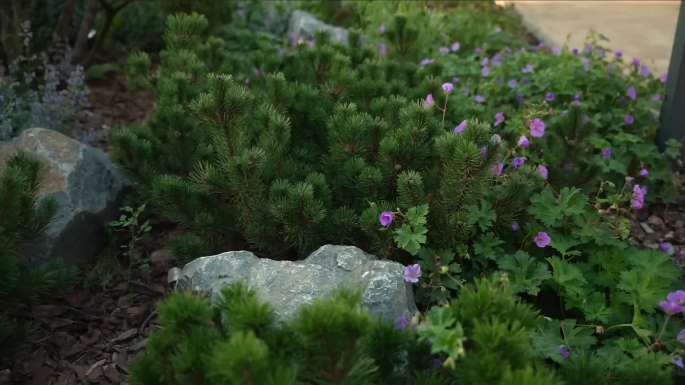 Ландшафтный дизайн проекта Ступино