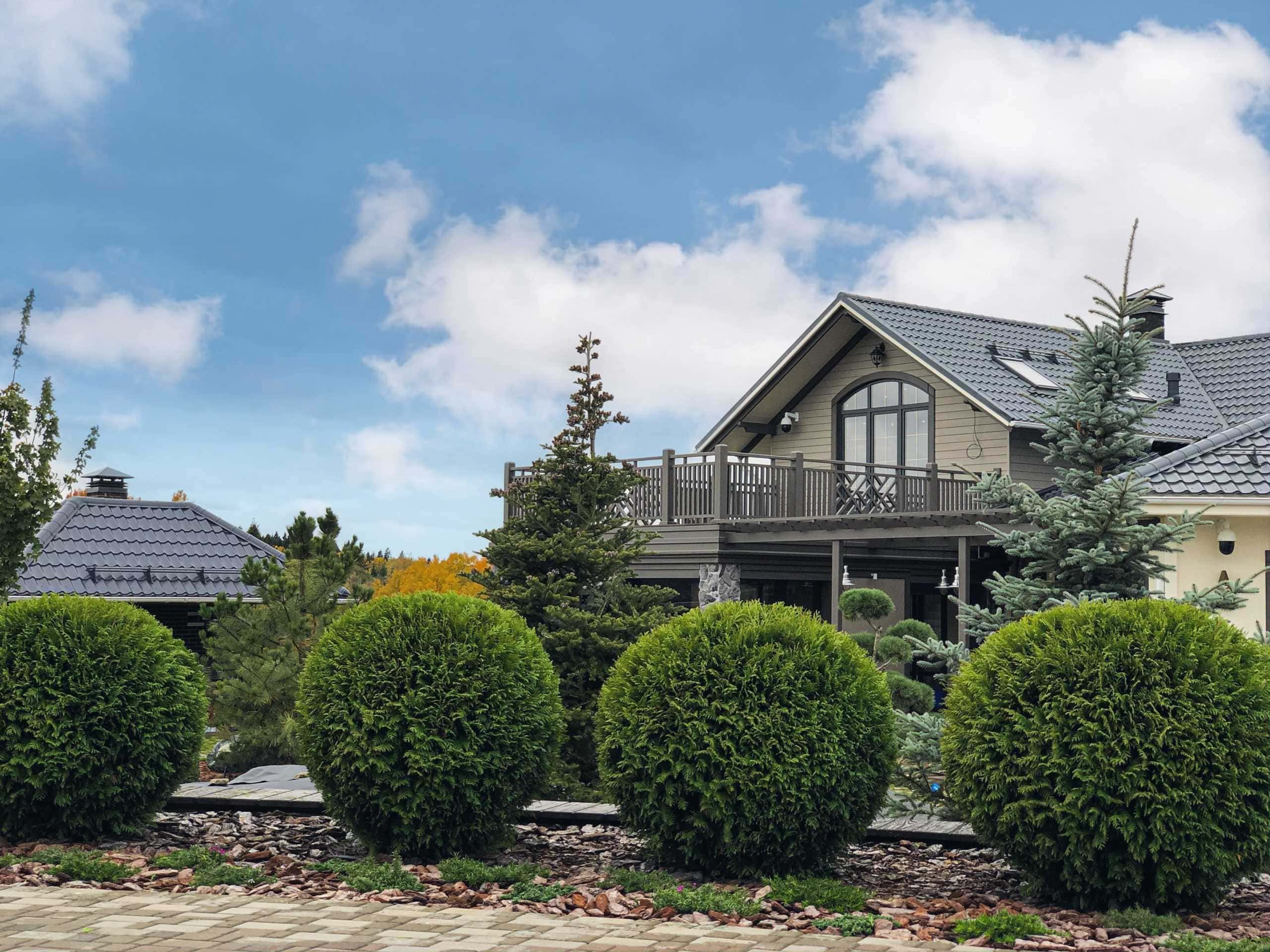 Авторский ландшафт под ключ в Подмосковье