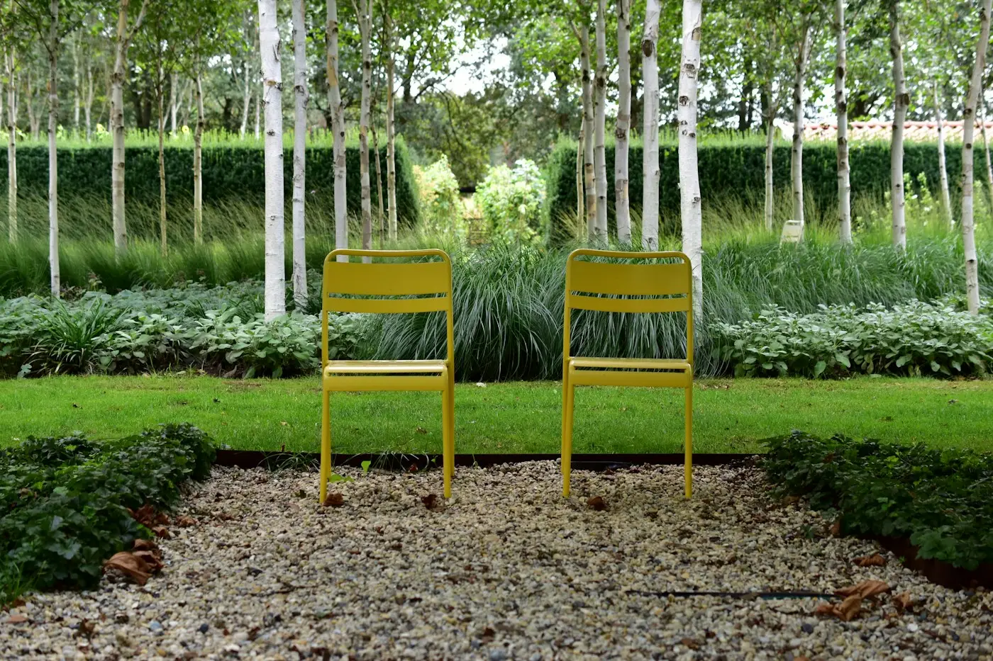 Гравийная площадка, злаки и берёзы в малоуходном саду